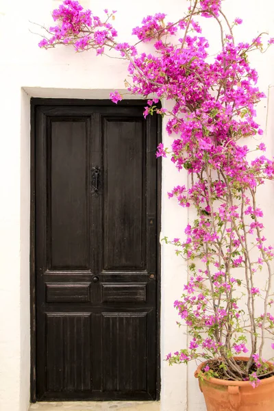 Beautiful Whitewashed Facade Old Wooden Door Colorful Bougainvillea Plant Altea — Stok fotoğraf