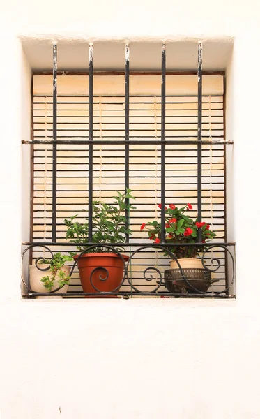 スペインのアリカンテ県アルテア村に鍛造金属グリル付きの窓付きの白塗りのファサード — ストック写真