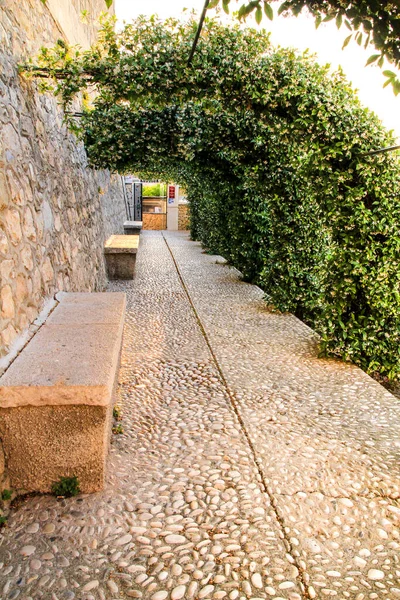 狭い通りと美しい庭園アルテア村 アリカンテ スペイン — ストック写真