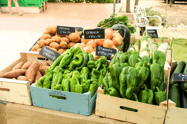 Elche Alicante Spanje Januari 2021 Verse Producten Koop Een Ecologische — Stockfoto