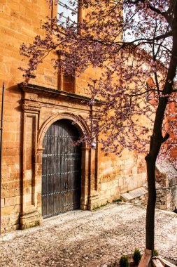 Baharda Alcaraz 'daki San Miguel Arcangel kilisesinin yanında çiçek açan güzel pembe kiraz ağacı. Eski ve antika cepheler ve ön plandaki taş merdivenler.