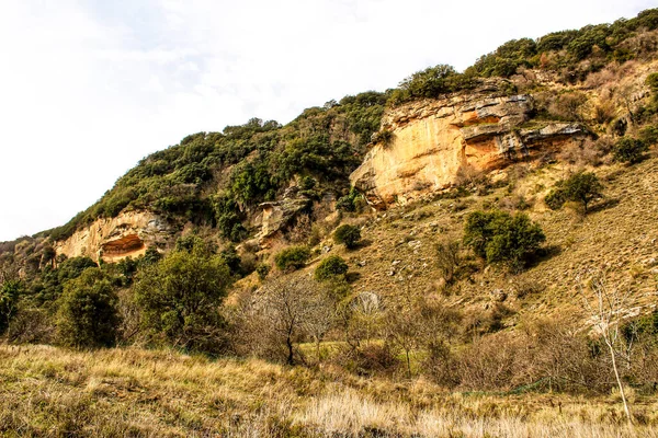 Горный Пейзаж Зеленой Растительностью Весной Кастилии Манча Испания — стоковое фото