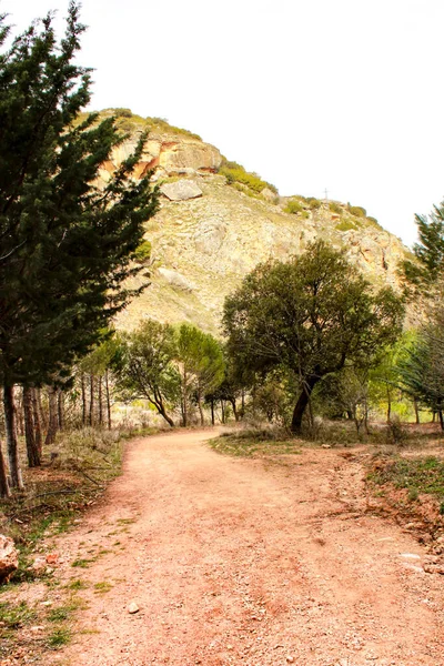 Горный Ландшафт Путь Между Зеленой Растительностью Весной Кастилии Манча Испания — стоковое фото