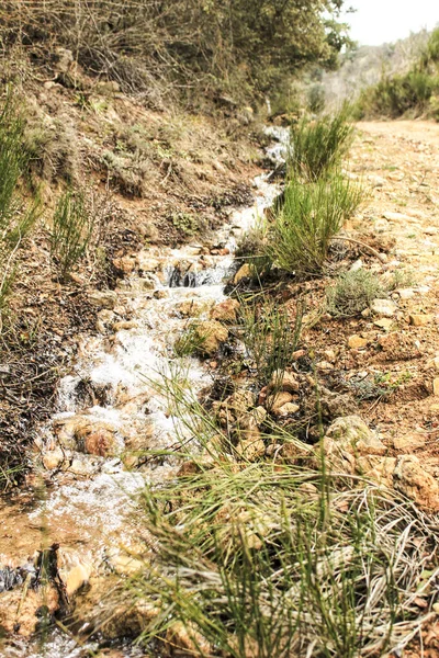 Insenatura Tra Vegetazione Montagna Spagna — Foto Stock