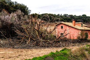 İspanya, Castilla La Mancha 'da bitki örtüsüyle çevrili dağdaki taş ev.