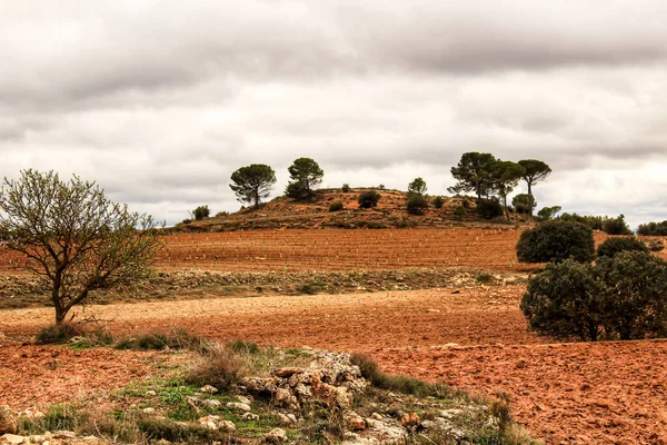 Пейзаж Облачным Небом Фермерским Полем Castilla Mancha Испания — стоковое фото