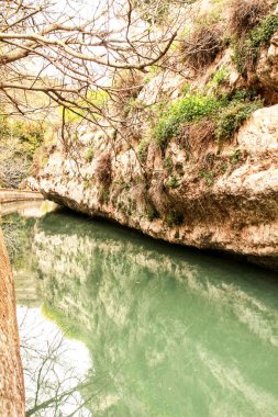 Alcala del Jucar 'daki su kanalı ve bitki örtüsü