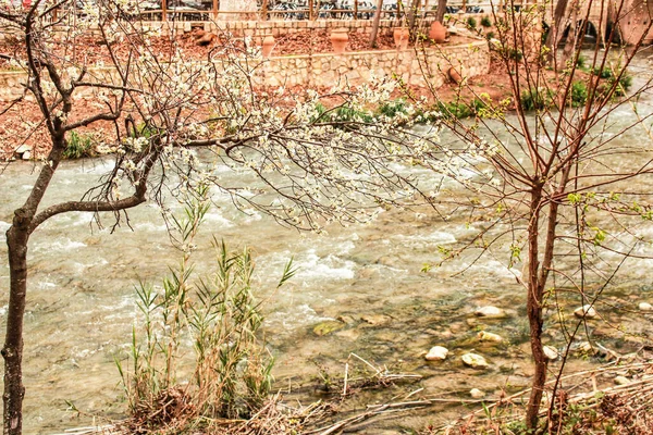 Река Джукар Окруженная Растительностью Деревне Алькала Дель Джукар — стоковое фото