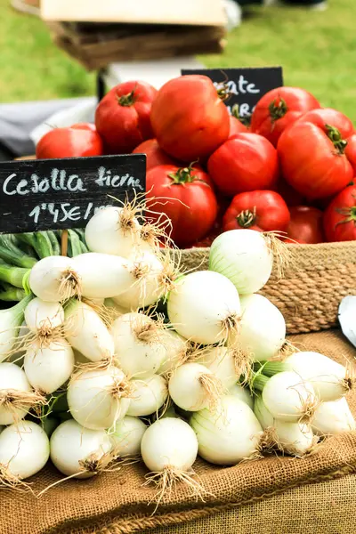 Groenten Koop Lokale Ecologische Markt Wijk Raval Elche — Stockfoto