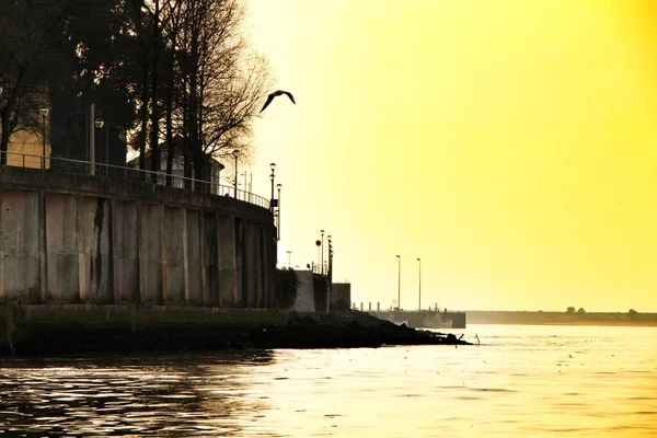 Paseo Marítimo Con Árboles Junto Las Aguas Del Río Duero — Foto de Stock