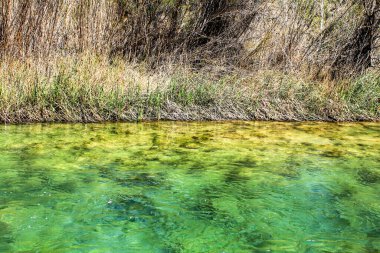 Cabriel Nehri kristal berrak sularla çevrili ve Albacete, İspanya dağlarında yeşil bitki örtüsüyle çevrili.