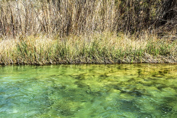 Cabriel River Křišťálově Čistou Vodou Obklopen Zelenou Vegetací Horách Albacete — Stock fotografie