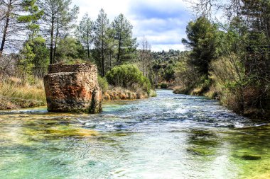 Cabriel Nehri kristal berrak sularla çevrili ve Albacete, İspanya dağlarında yeşil bitki örtüsüyle çevrili.