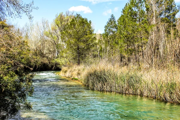 Cabriel River Křišťálově Čistou Vodou Obklopen Zelenou Vegetací Horách Albacete — Stock fotografie
