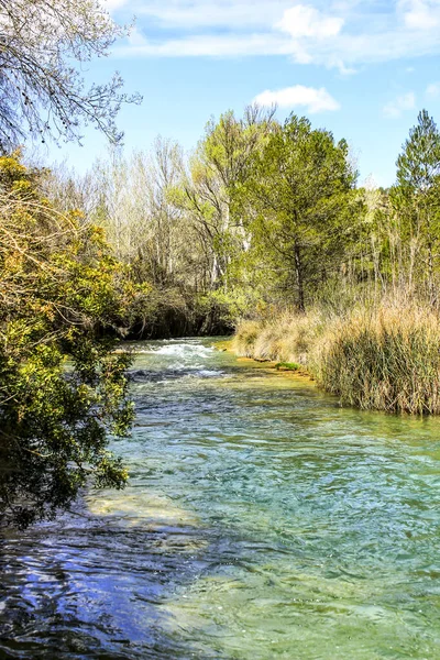 Cabriel Nehri kristal berrak sularla çevrili ve Albacete, İspanya dağlarında yeşil bitki örtüsüyle çevrili.