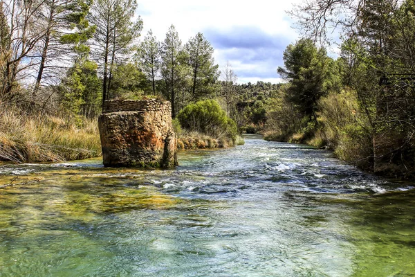 Cabriel River Křišťálově Čistou Vodou Obklopen Zelenou Vegetací Horách Albacete — Stock fotografie