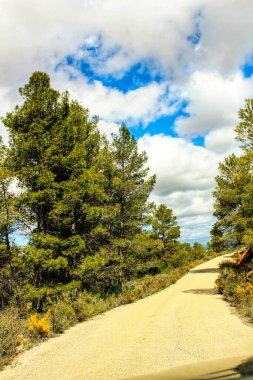 Dağdaki yol baharda bulutlu gökyüzünün altında yeşil bitki örtüsüyle çevrili.