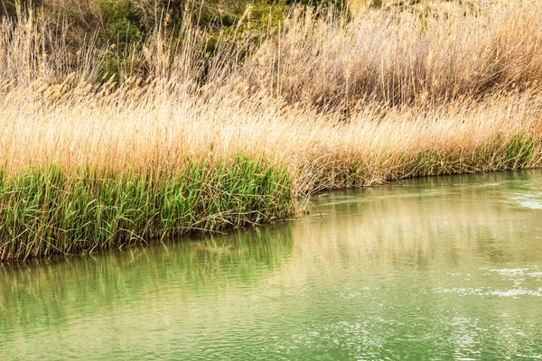 Cabriel River Své Cestě Přes Casas Del Rio Village Albacete — Stock fotografie