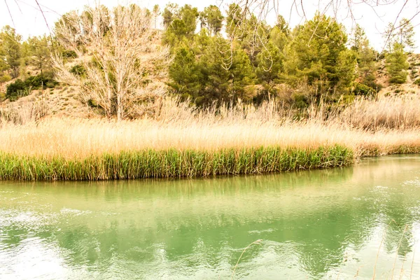 Fiume Cabriel Attraversa Villaggio Casas Del Rio Albacete Spagna Paesaggio — Foto Stock