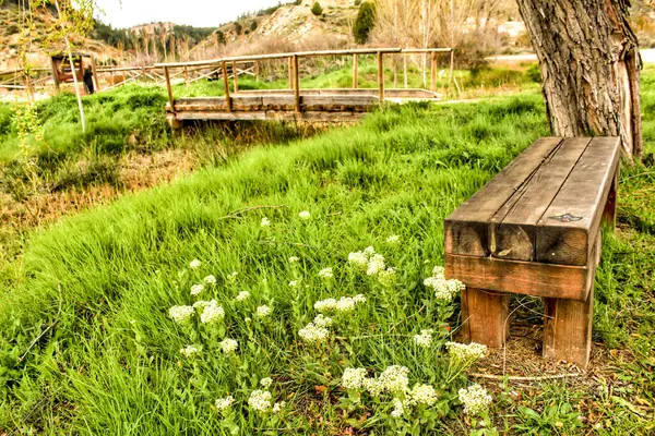 Деревянная Скамейка Окружении Растительности Цветов Парке Деревне Испании — стоковое фото
