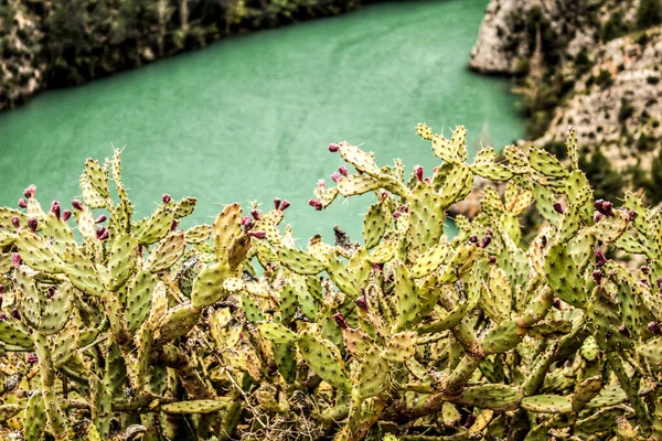 モリナール カサス ヴェス スペインの山々とカラフルな植生に囲まれた湿地 カブリエル川のクリスタルクリアウォーターズ — ストック写真