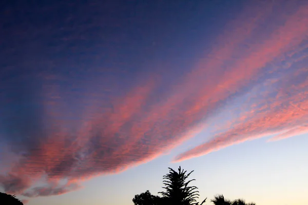 Spectacular Sunset Pink Color Forest Spain - Stock-foto