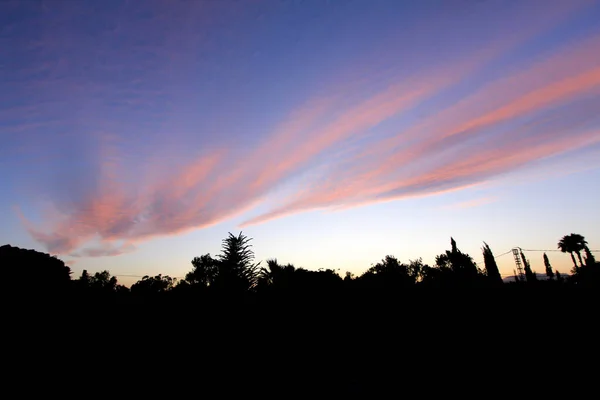 Spectacular Sunset Pink Color Forest Spain — Stockfoto