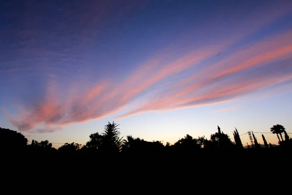 Spektakulärer Sonnenuntergang Mit Rosa Farbe Spanischen Wald — Stockfoto