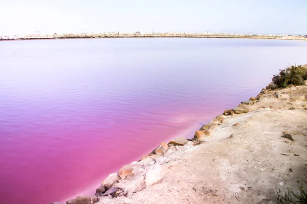 Beautiful Landscape Pink Salt Flats Saltworks San Pedro Del Pinatar — Stock Photo, Image