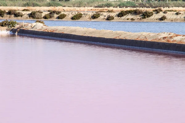 スペイン ムルシア州サンペドロ ピナタールの塩工場のピンクの塩フラットの美しい風景 — ストック写真