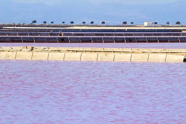 Beautiful Landscape Pink Salt Flats Saltworks San Pedro Del Pinatar — Stock Photo, Image