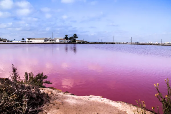 Beautiful Landscape Pink Salt Flats Saltworks San Pedro Del Pinatar — Stock Photo, Image