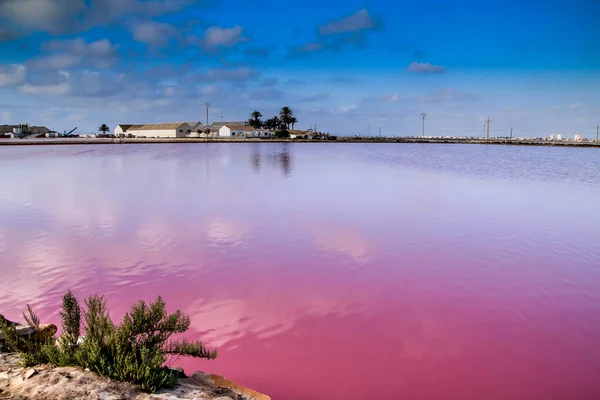 Beautiful Landscape Pink Salt Flats Saltworks San Pedro Del Pinatar — Stock Photo, Image