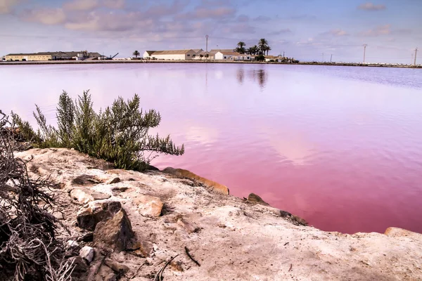 Beautiful Landscape Pink Salt Flats Saltworks San Pedro Del Pinatar — Stock Photo, Image