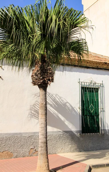 Pequeñas Casas Los Alcázares Pueblo Murcia Comunidad España — Foto de Stock