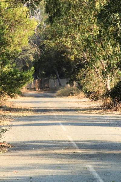 Εγκαταλελειμμένος Δρόμος Που Περιβάλλεται Από Βλάστηση Στην Ισπανία — Φωτογραφία Αρχείου