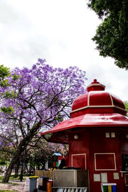 Lizbon, Portekiz- 28 Mayıs 2018: Lizbon, Portekiz 'deki bir parkta tipik bir kırmızı kafe büfesi. Arka planda mor ağaç.