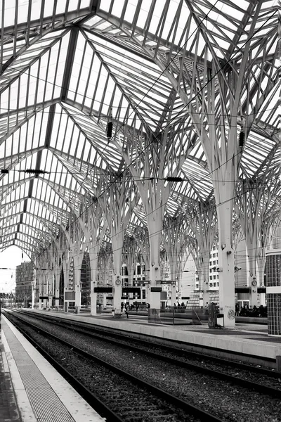 Lisabon Portugalsko Prosince 2020 Orient Train Station Lisabonu Monochromatická Fotografie — Stock fotografie