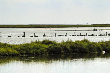 İspanya Murcia 'daki güzel La Manga del Mar Menor bataklıkları
