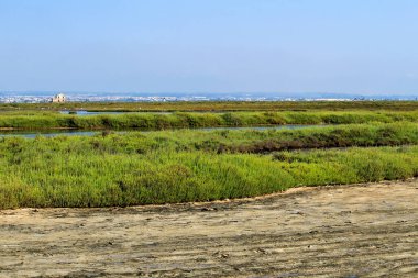 İspanya Murcia 'daki güzel La Manga del Mar Menor bataklıkları