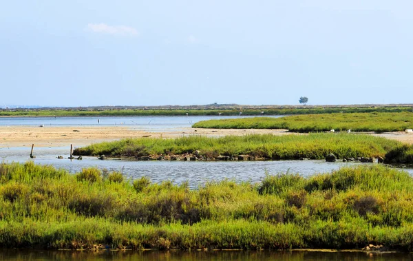 Wunderschönes Feuchtgebiet Manga Del Mar Menor Murcia Spanien — Stockfoto