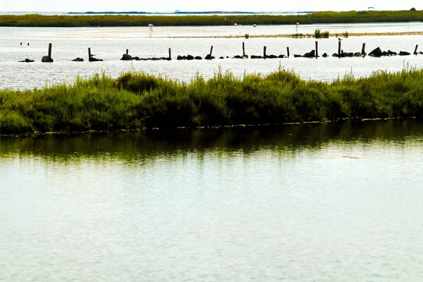 Mooie Manga Del Mar Menor Wetlands Murcia Spanje — Stockfoto