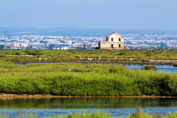 Bela Zona Húmida Manga Del Mar Menor Murcia Espanha — Fotografia de Stock