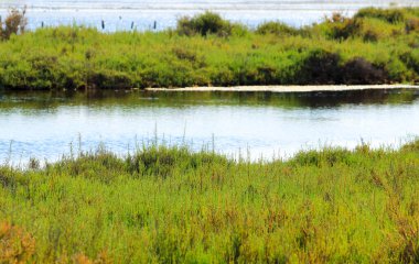 İspanya Murcia 'daki güzel La Manga del Mar Menor bataklıkları