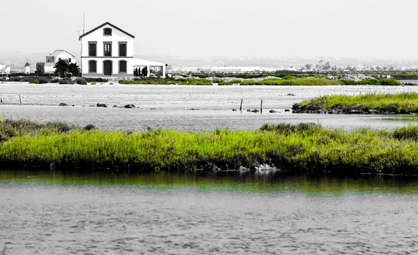 Wunderschönes Feuchtgebiet Manga Del Mar Menor Murcia Spanien — Stockfoto