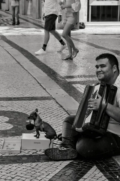 Lizbon Portekiz Mayıs 2018 Dilenci Elinde Sepet Olan Köpeğiyle Akordeon — Stok fotoğraf