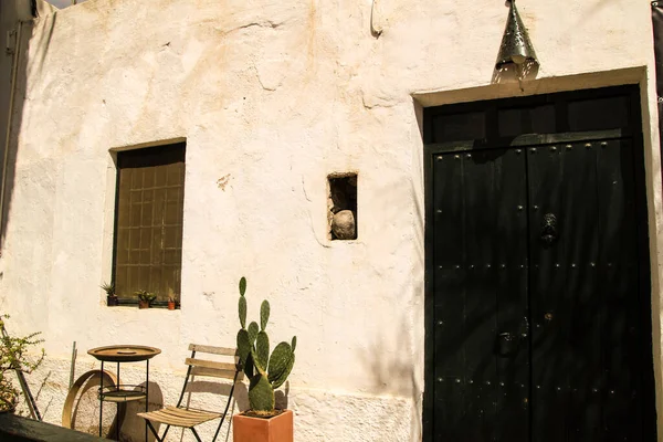 Белый Дом Красивые Кактусы Родалькиларе Андалусия Испания — стоковое фото