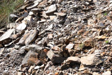 Cuevas de Almanzora, Almerya, İspanya 'daki Villaricos kasabasının kayalıklarında mineraller ve kayalıklar