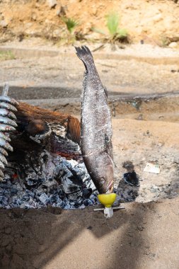 İspanya sahilinde odun ateşinde ızgara balık metodu.