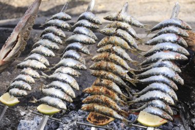 İspanya sahilinde odun ateşinde ızgara sardalya metodu.